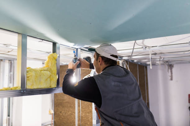 Best Energy-efficient Insulation  in Eastover, NC