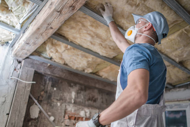 Best Insulation Repair Services  in Eastover, NC