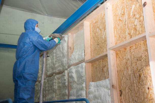 Best Energy-efficient Insulation  in Eastover, NC