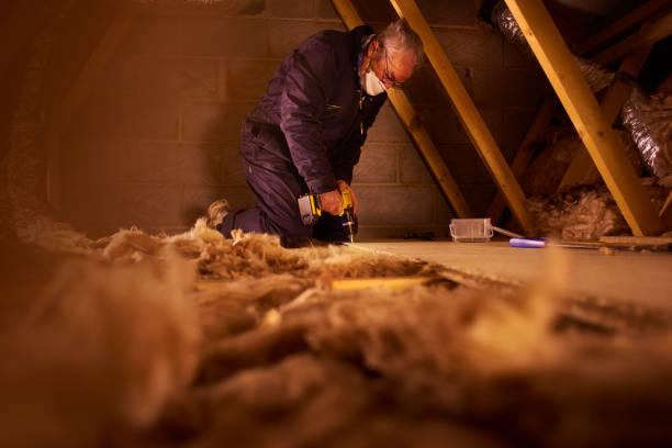 Best Home Insulation Services  in Eastover, NC