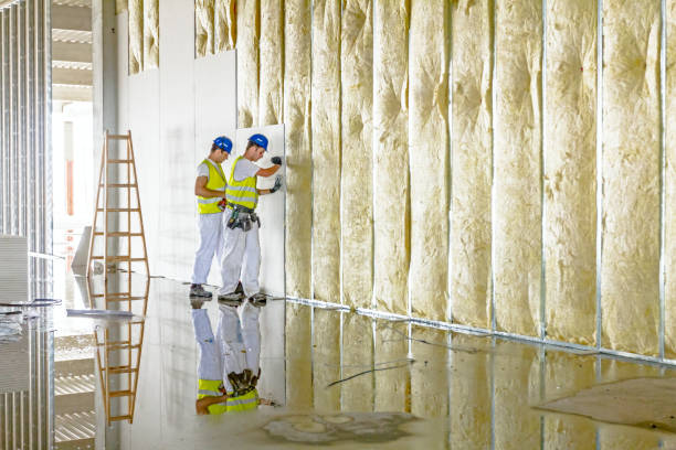 Best Insulation Contractors for Homes  in Eastover, NC
